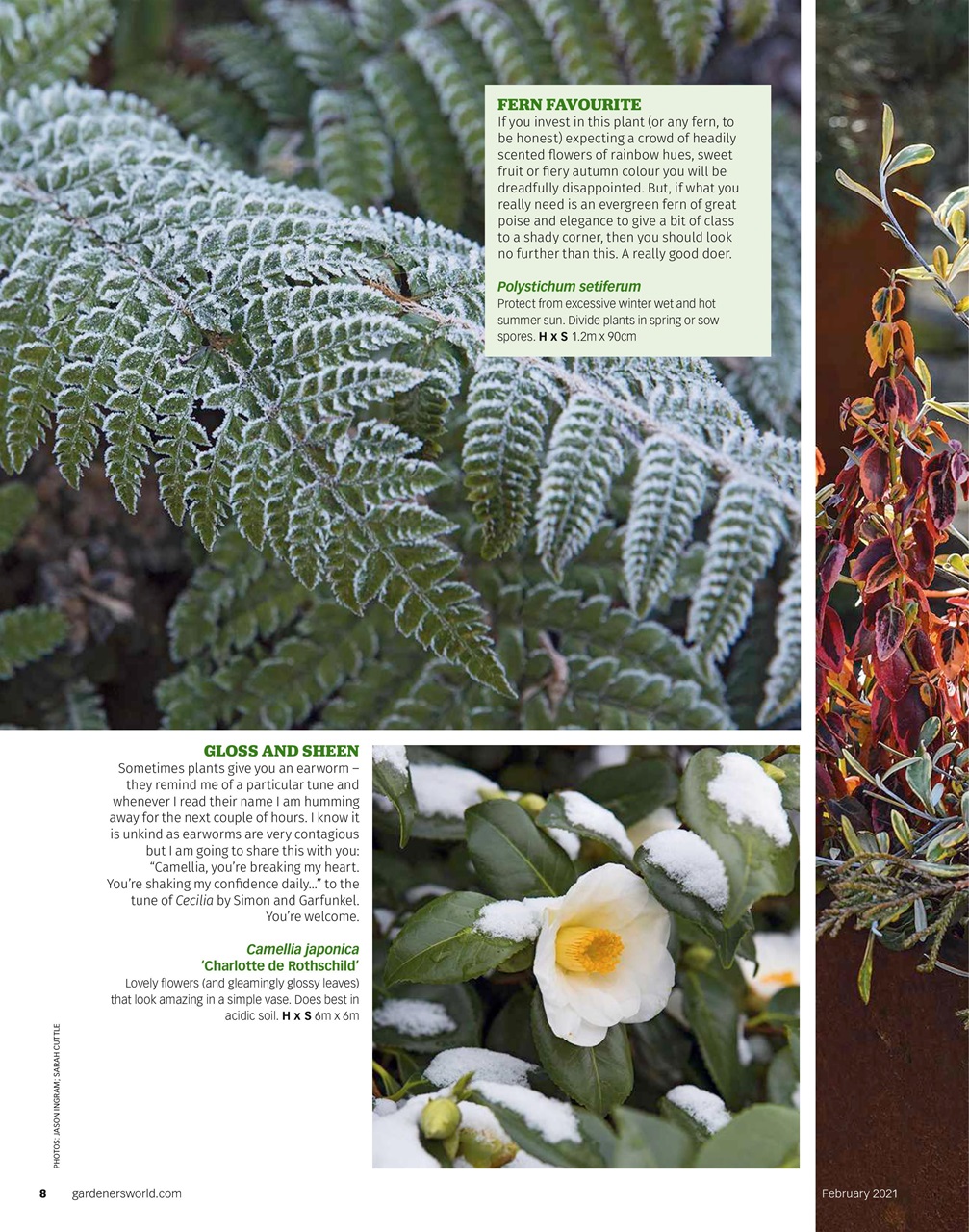 BBC Gardeners’ World Magazine Preview Pages
