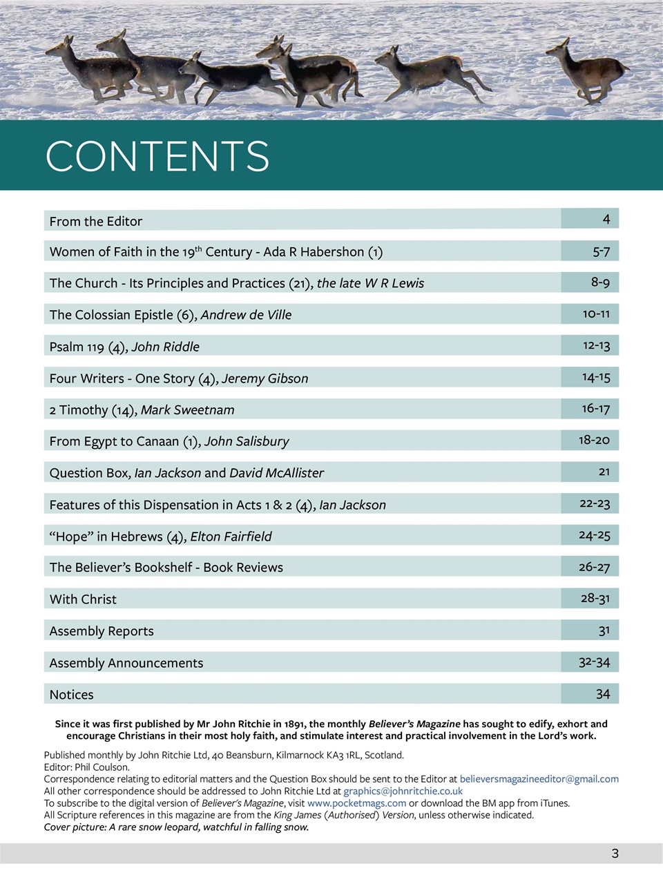 Believer Magazine Preview Pages