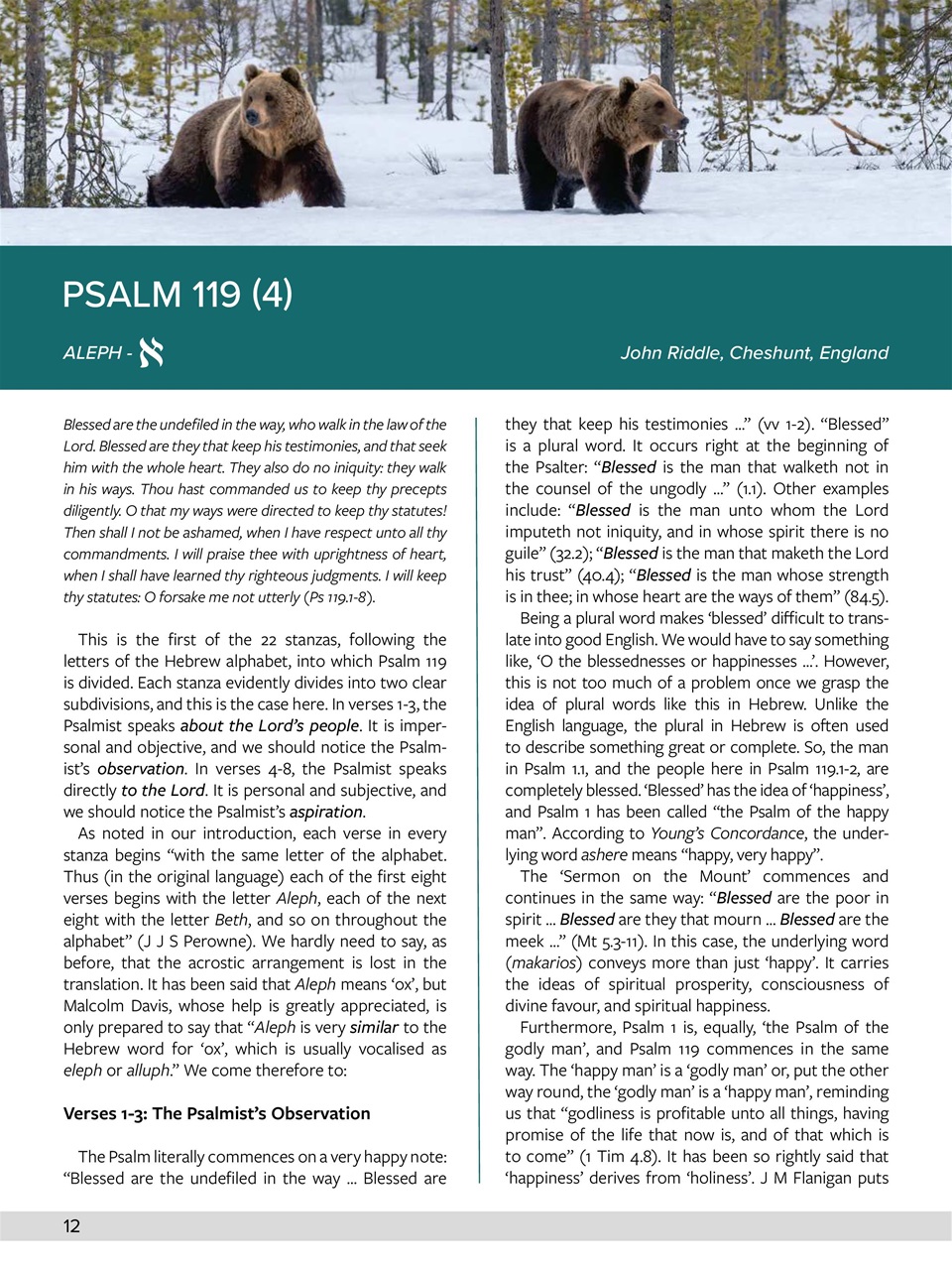 Believer Magazine Preview Pages