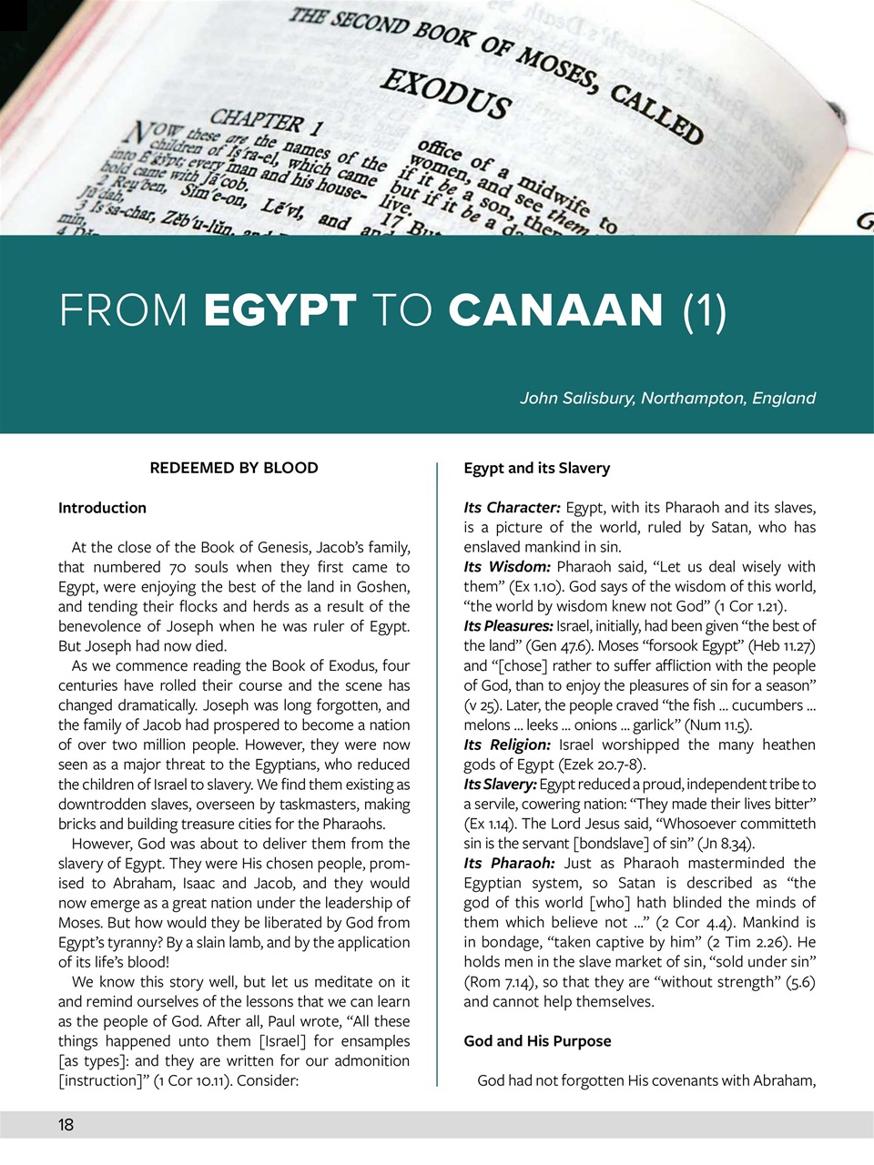 Believer Magazine Preview Pages