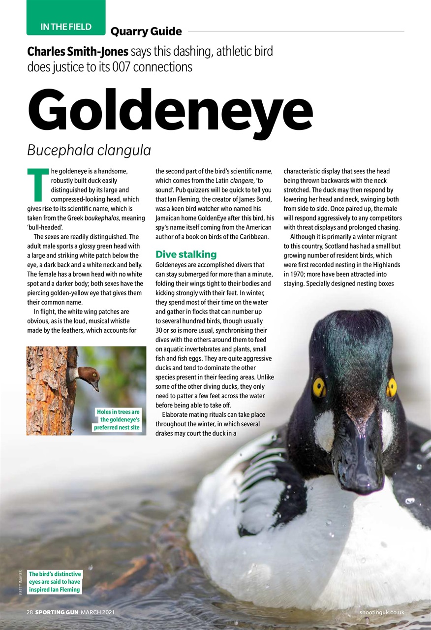 Sporting Gun Preview Pages