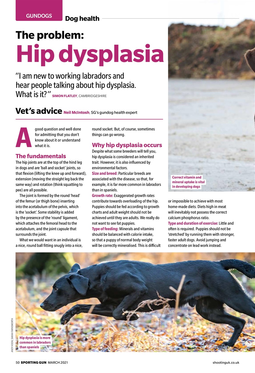 Sporting Gun Preview Pages