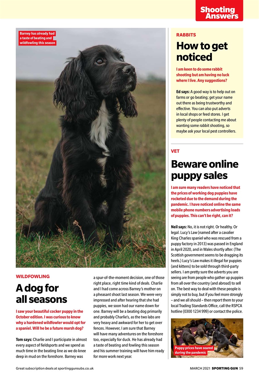 Sporting Gun Preview Pages