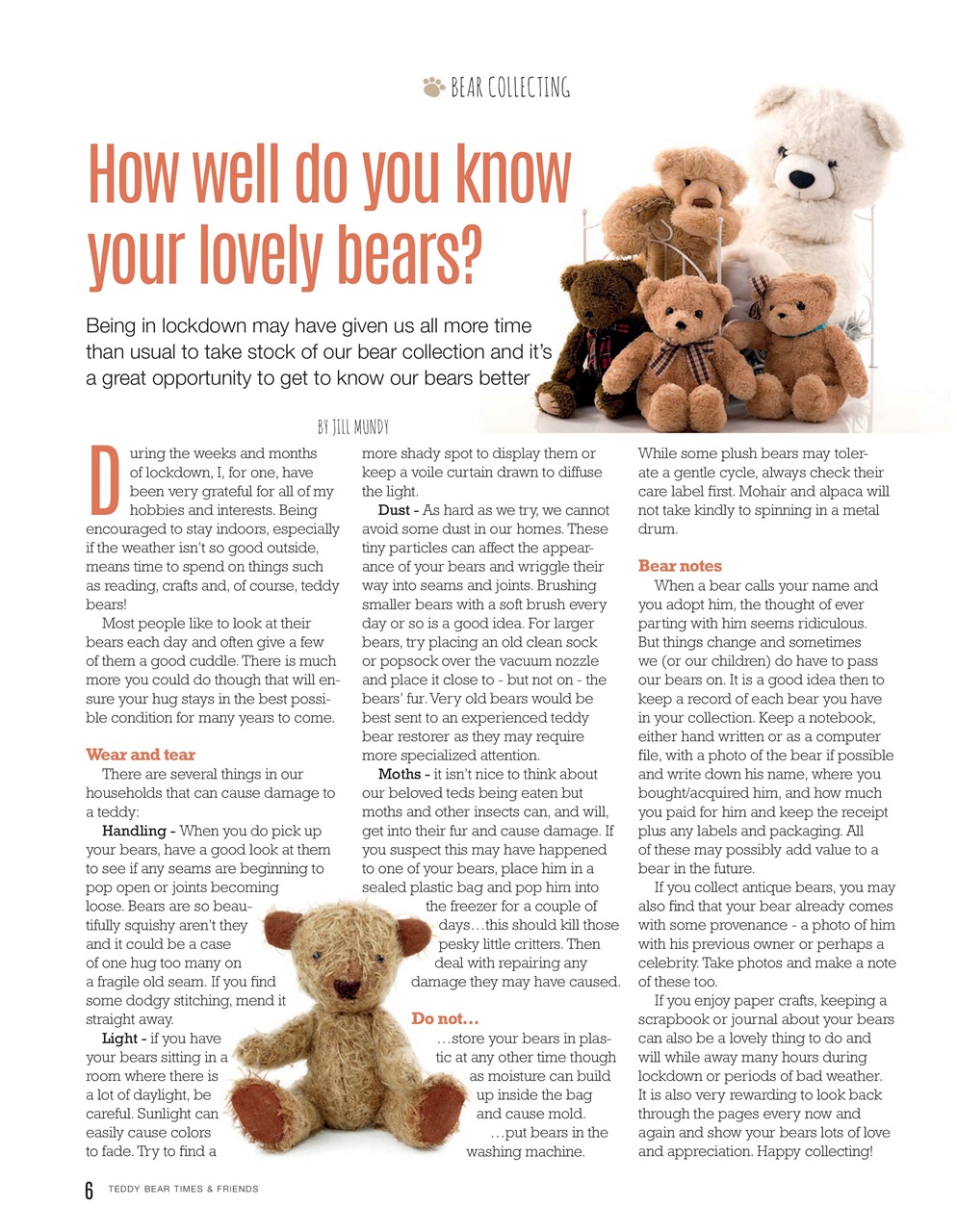 Teddy Bear Times Preview Pages