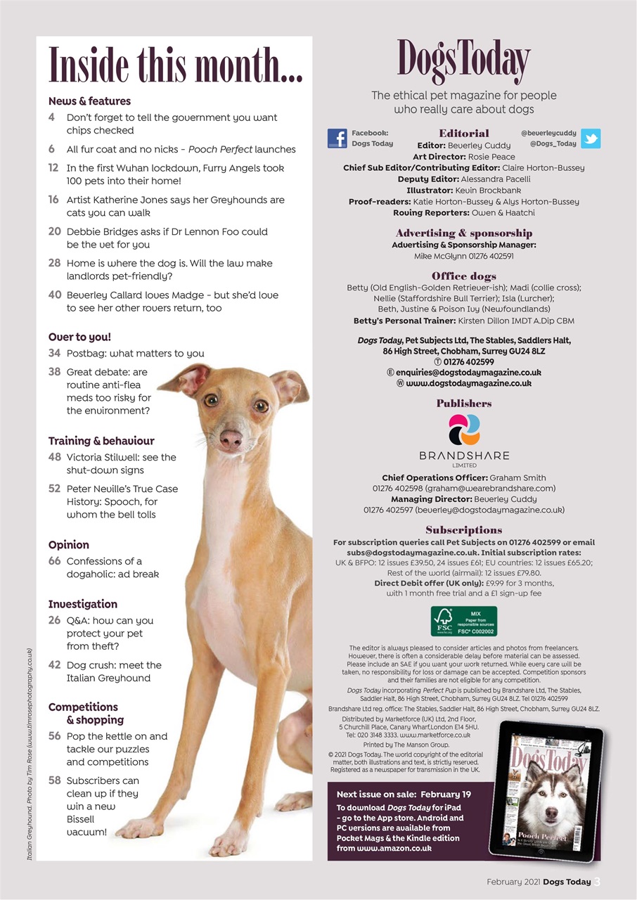 Dogs Today Magazine Preview Pages
