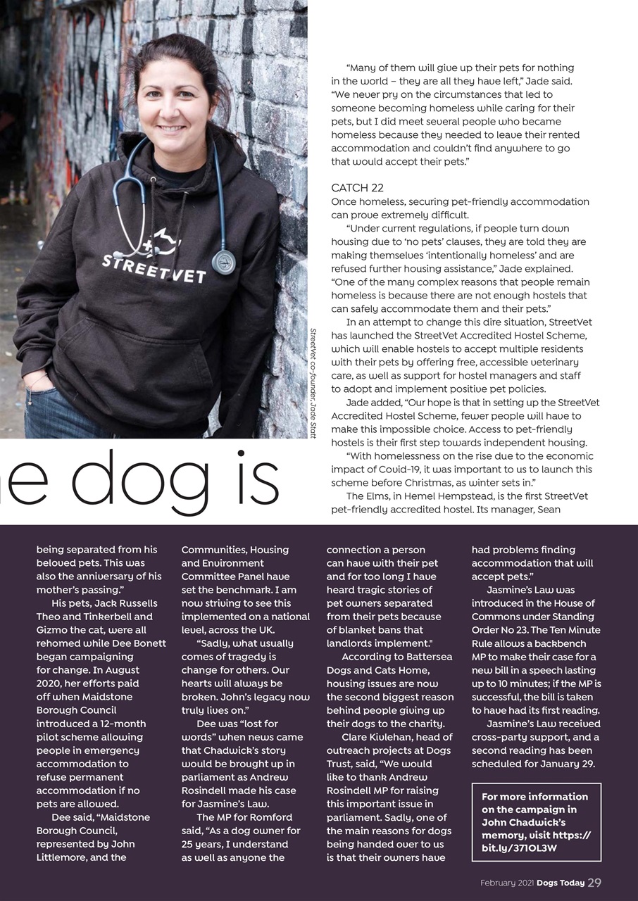 Dogs Today Magazine Preview Pages