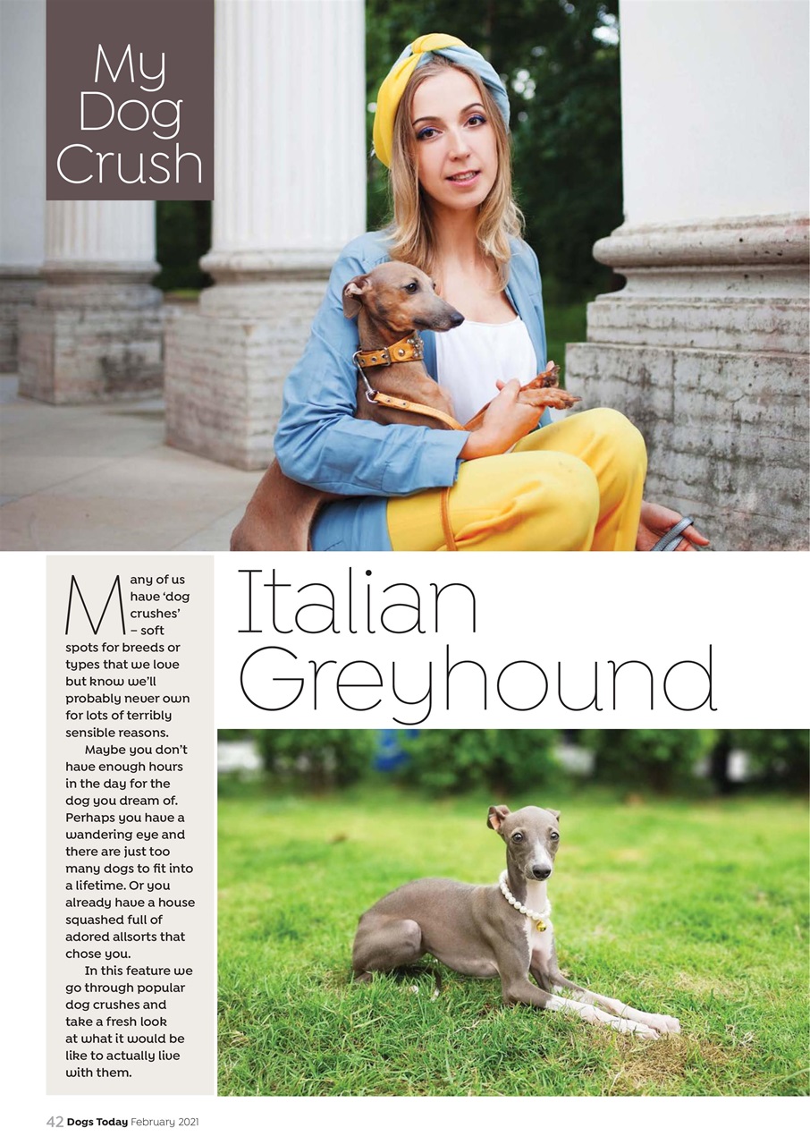 Dogs Today Magazine Preview Pages
