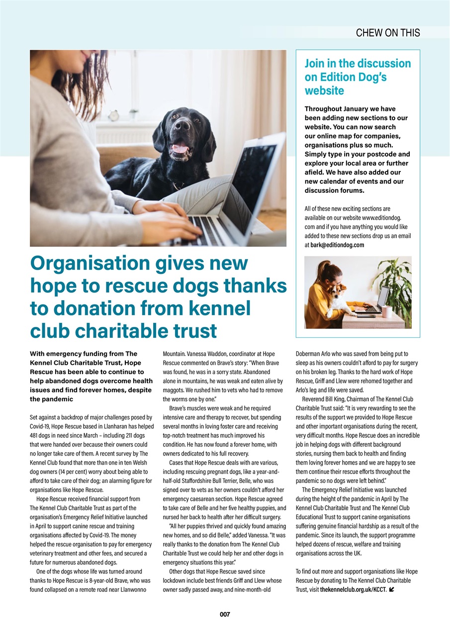 Edition Dog Preview Pages