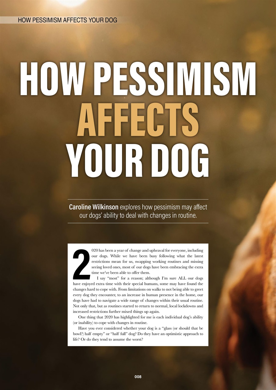 Edition Dog Preview Pages