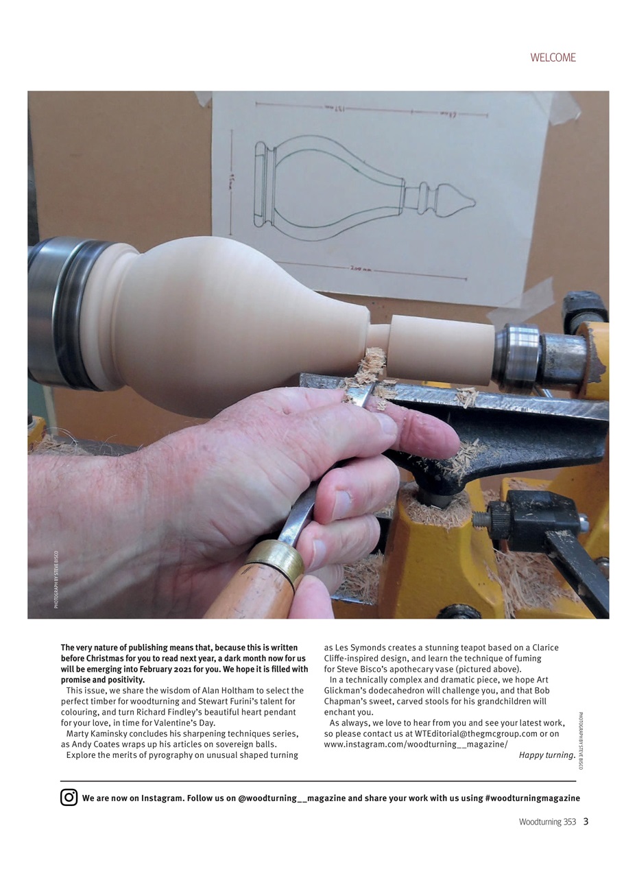 Woodturning Preview Pages