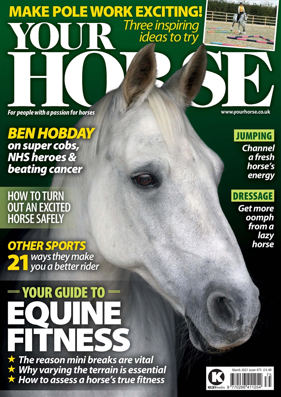 Your Horse Preview Pages