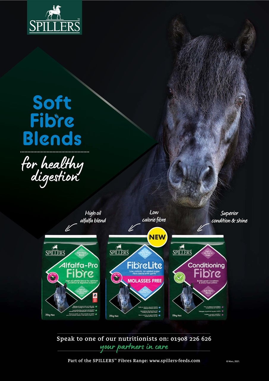 Your Horse Preview Pages