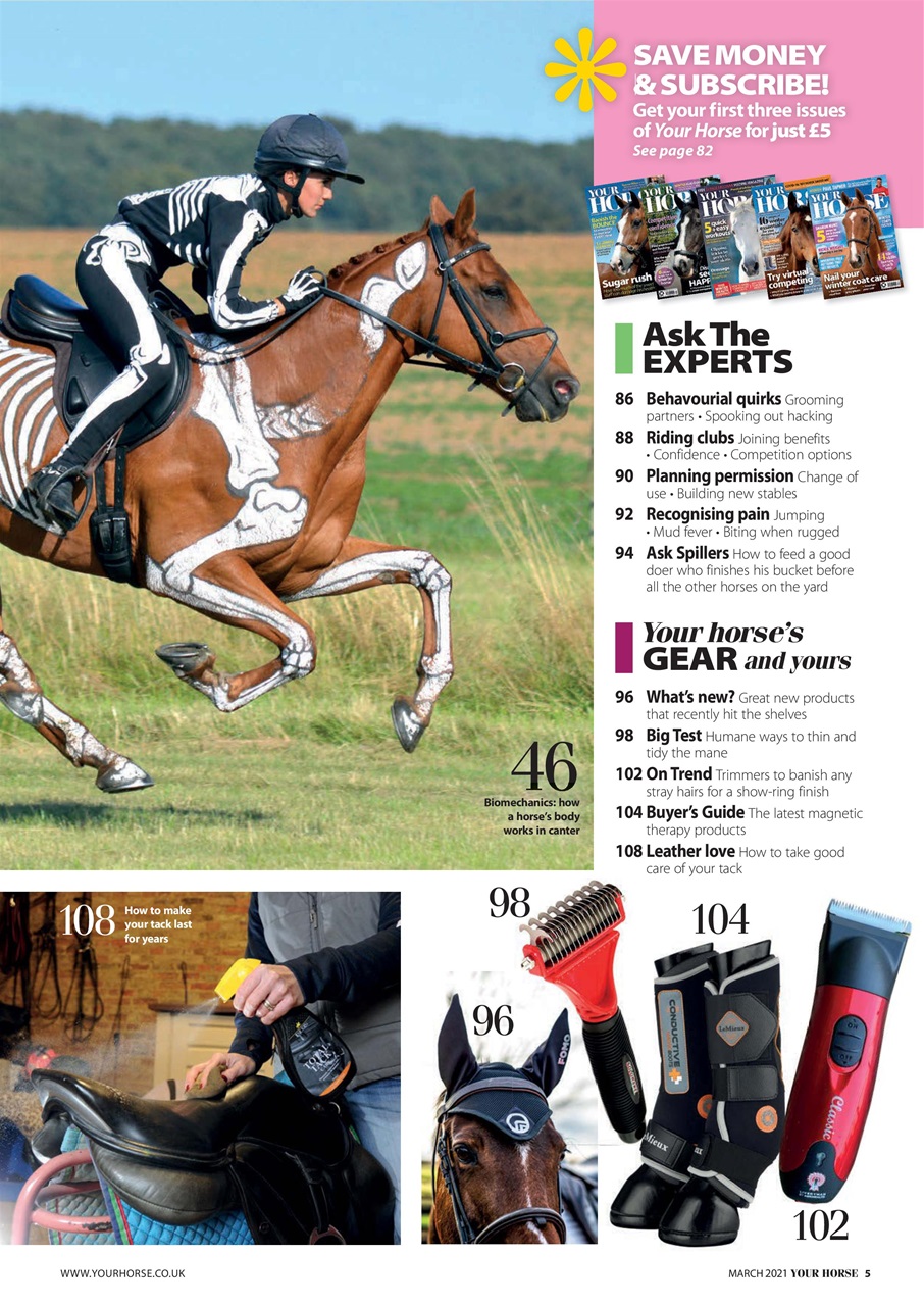 Your Horse Preview Pages