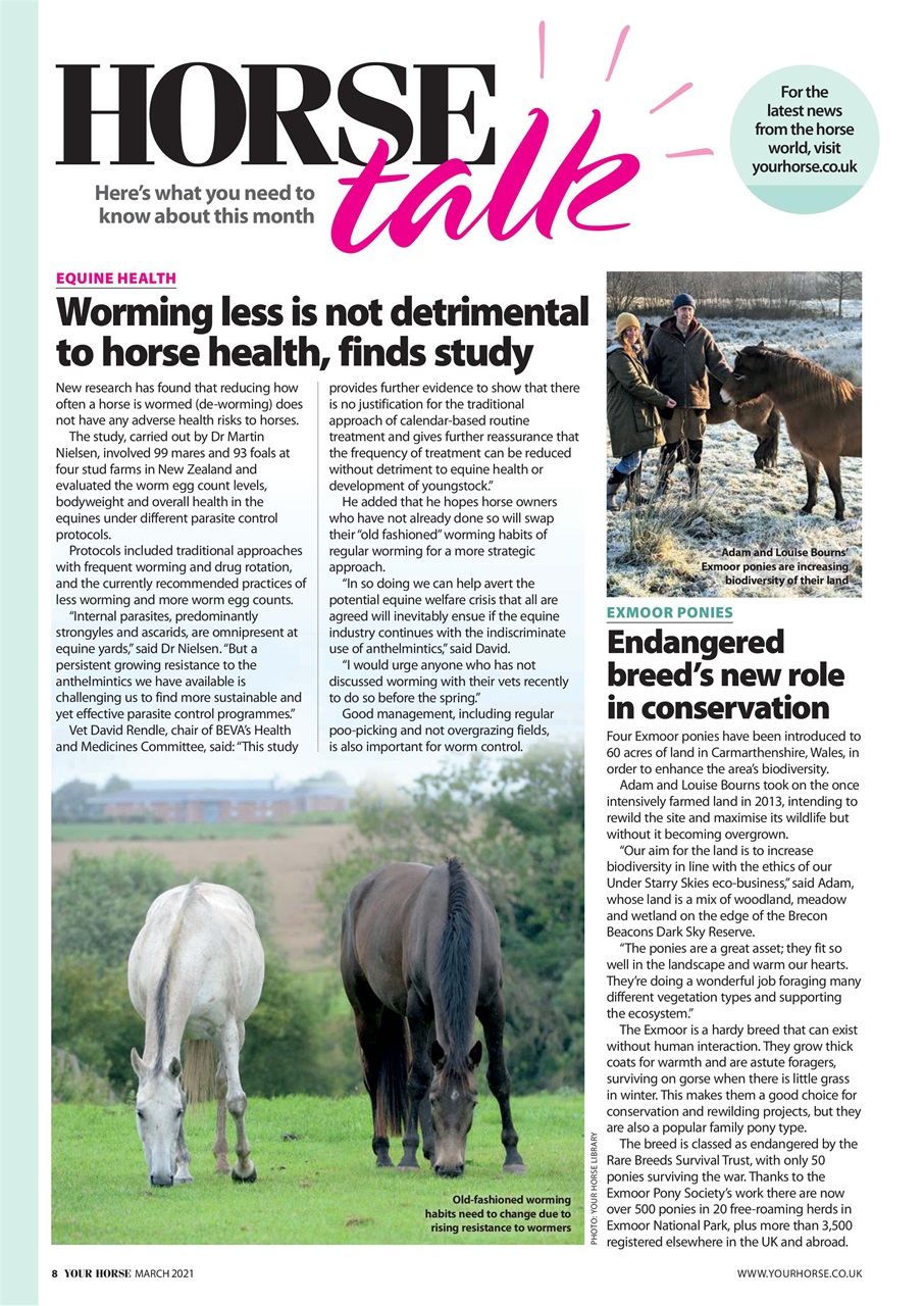 Your Horse Preview Pages