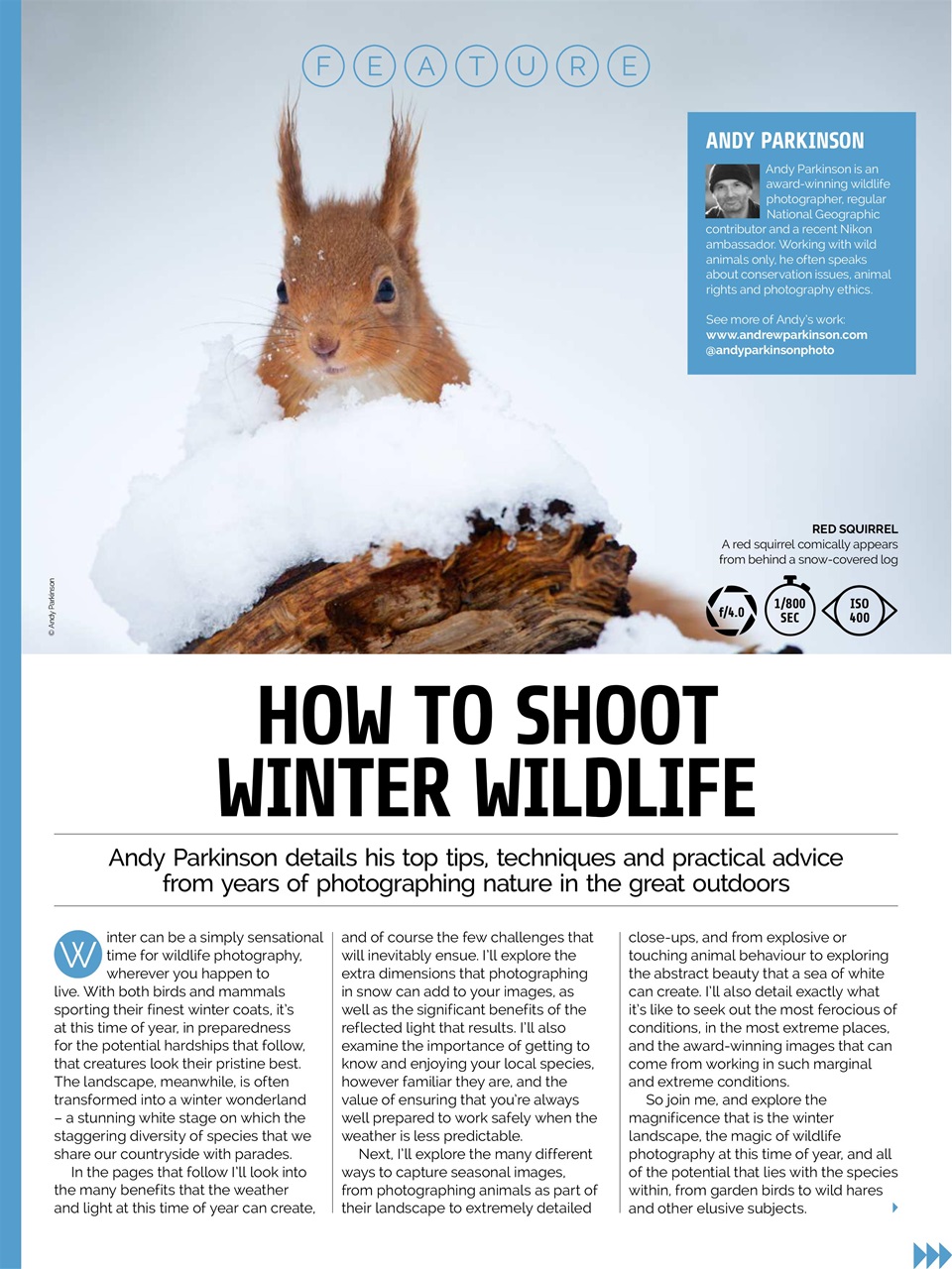 Photography Week Preview Pages