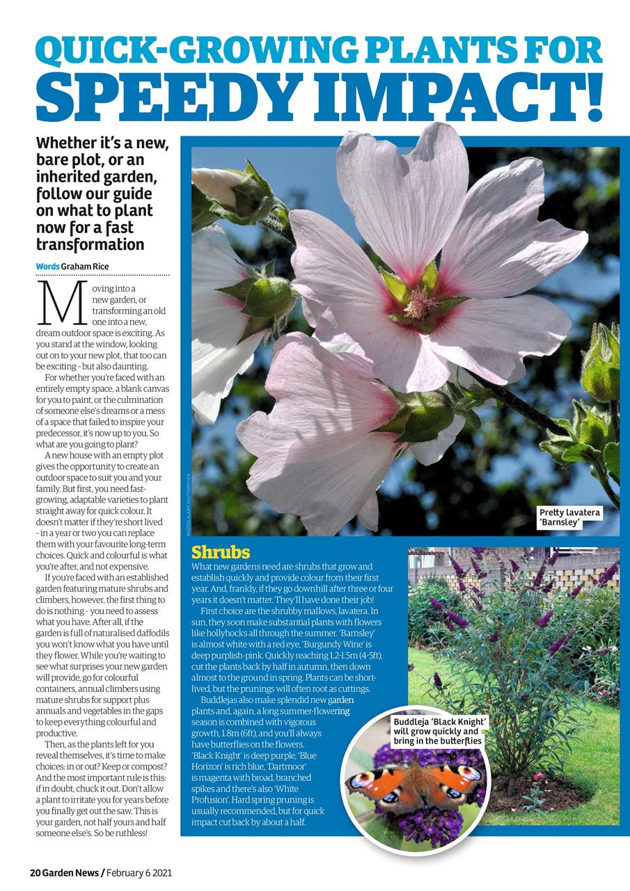 Garden News Preview Pages