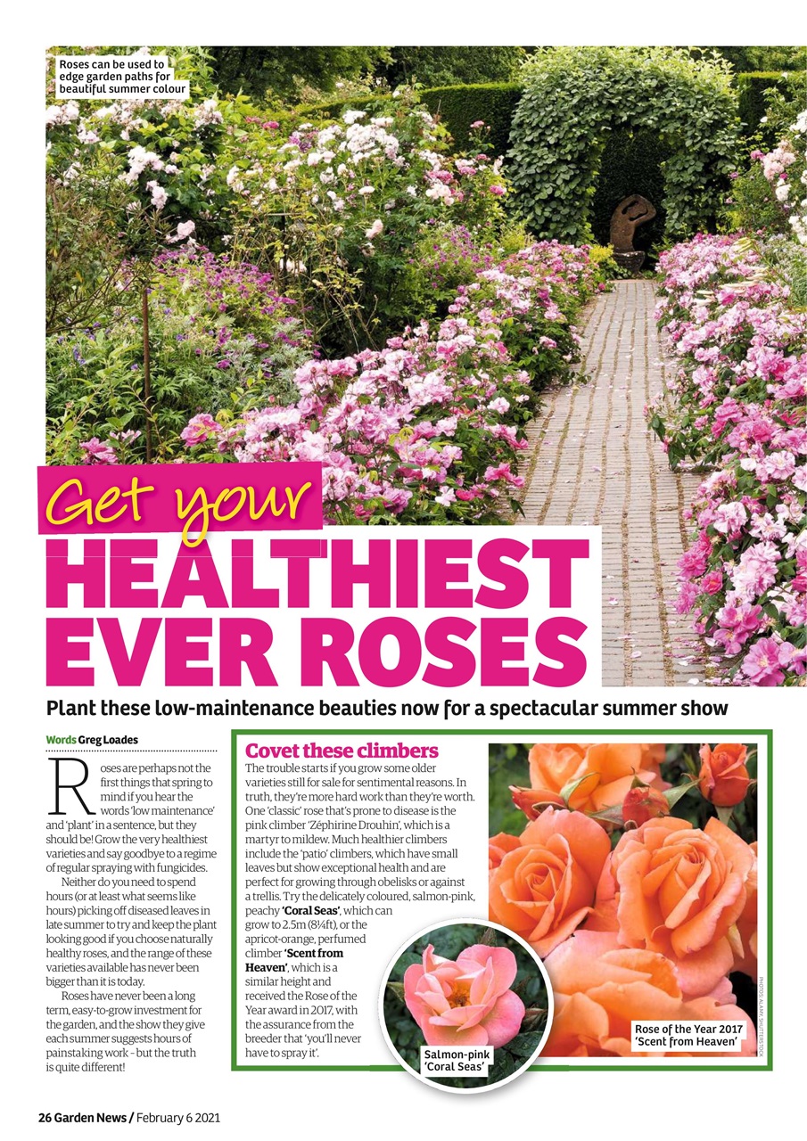 Garden News Preview Pages