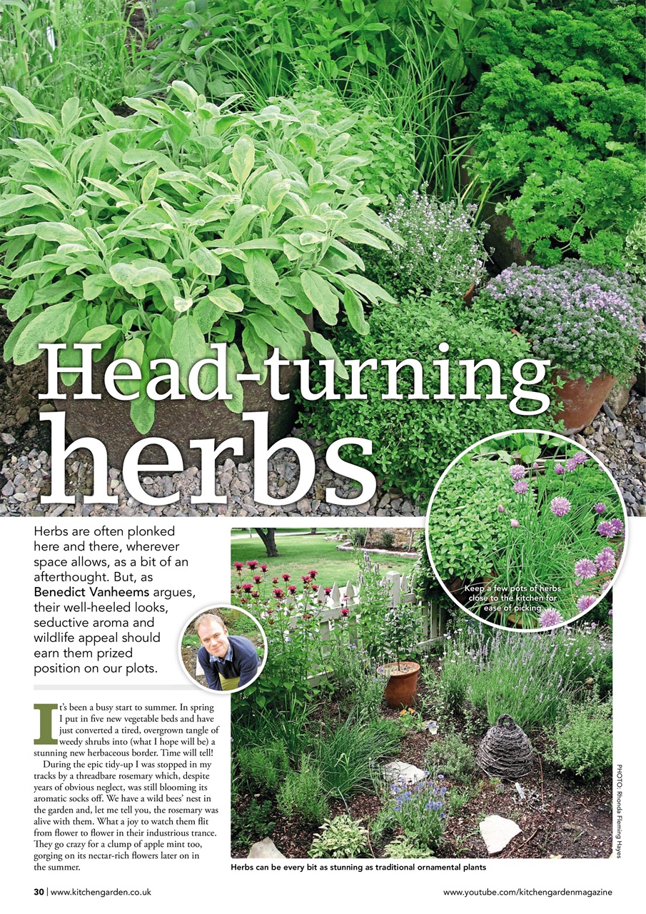 Kitchen Garden Magazine Preview Pages