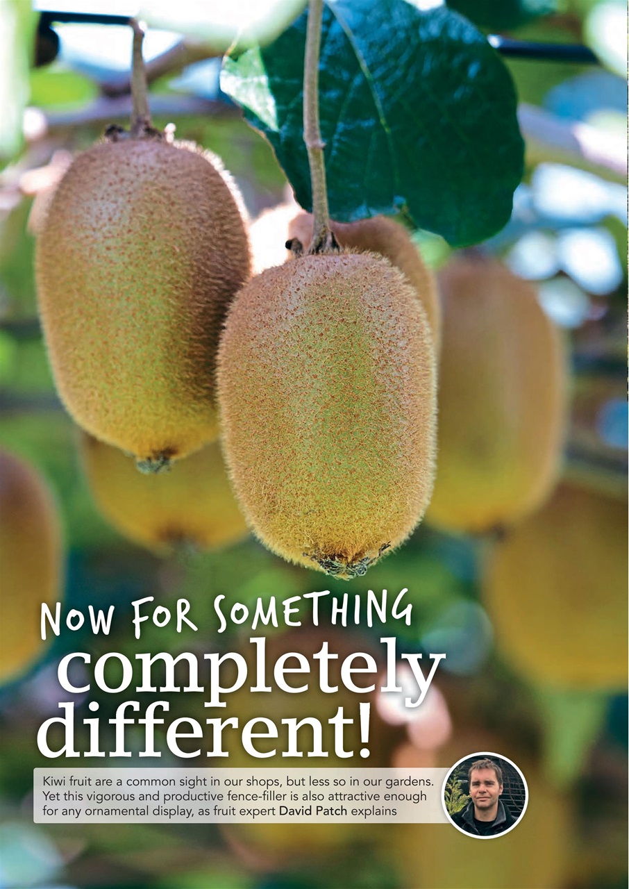 Kitchen Garden Magazine Preview Pages