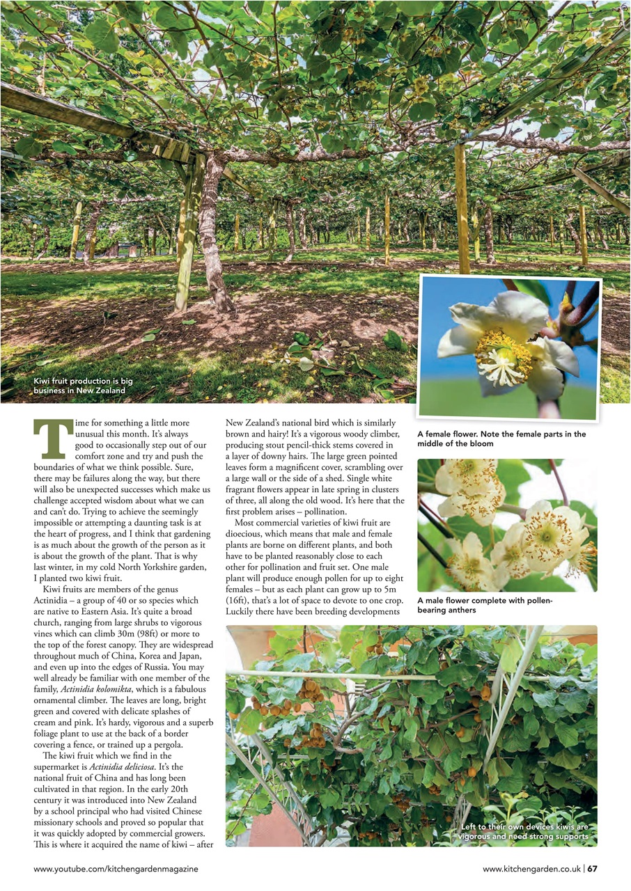Kitchen Garden Magazine Preview Pages