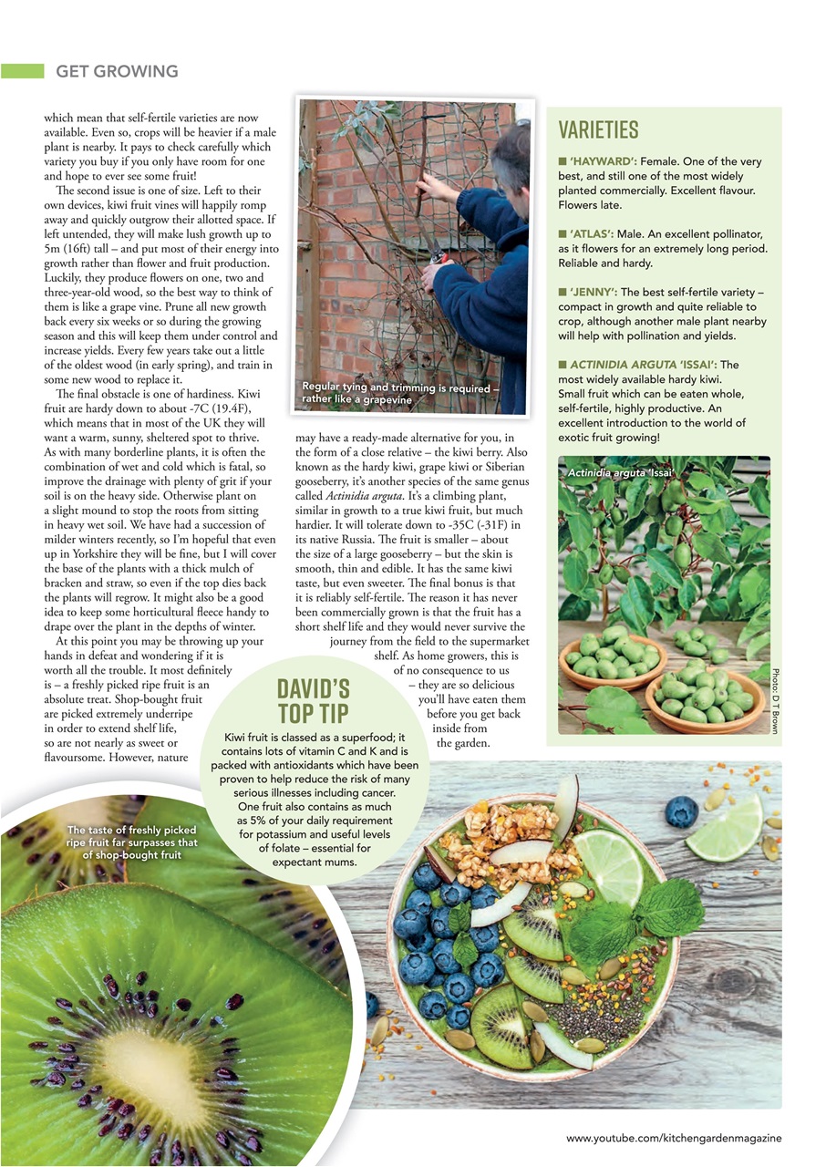 Kitchen Garden Magazine Preview Pages