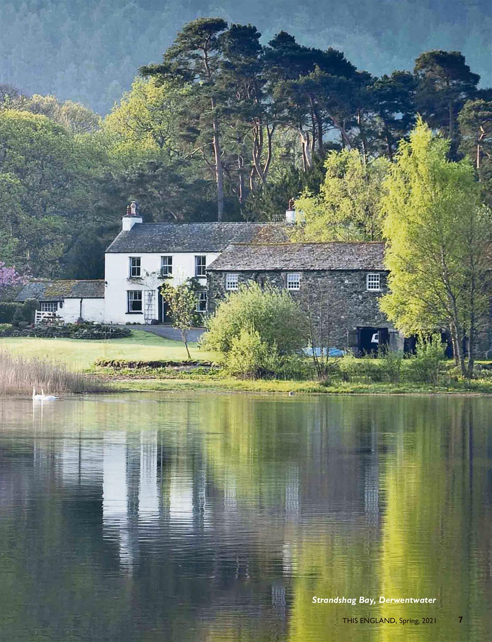 This England Preview Pages