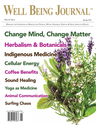 Well Being Journal issue Spring 2021