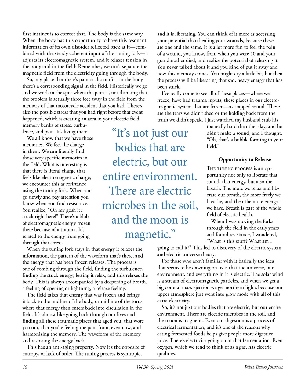 Well Being Journal Preview Pages