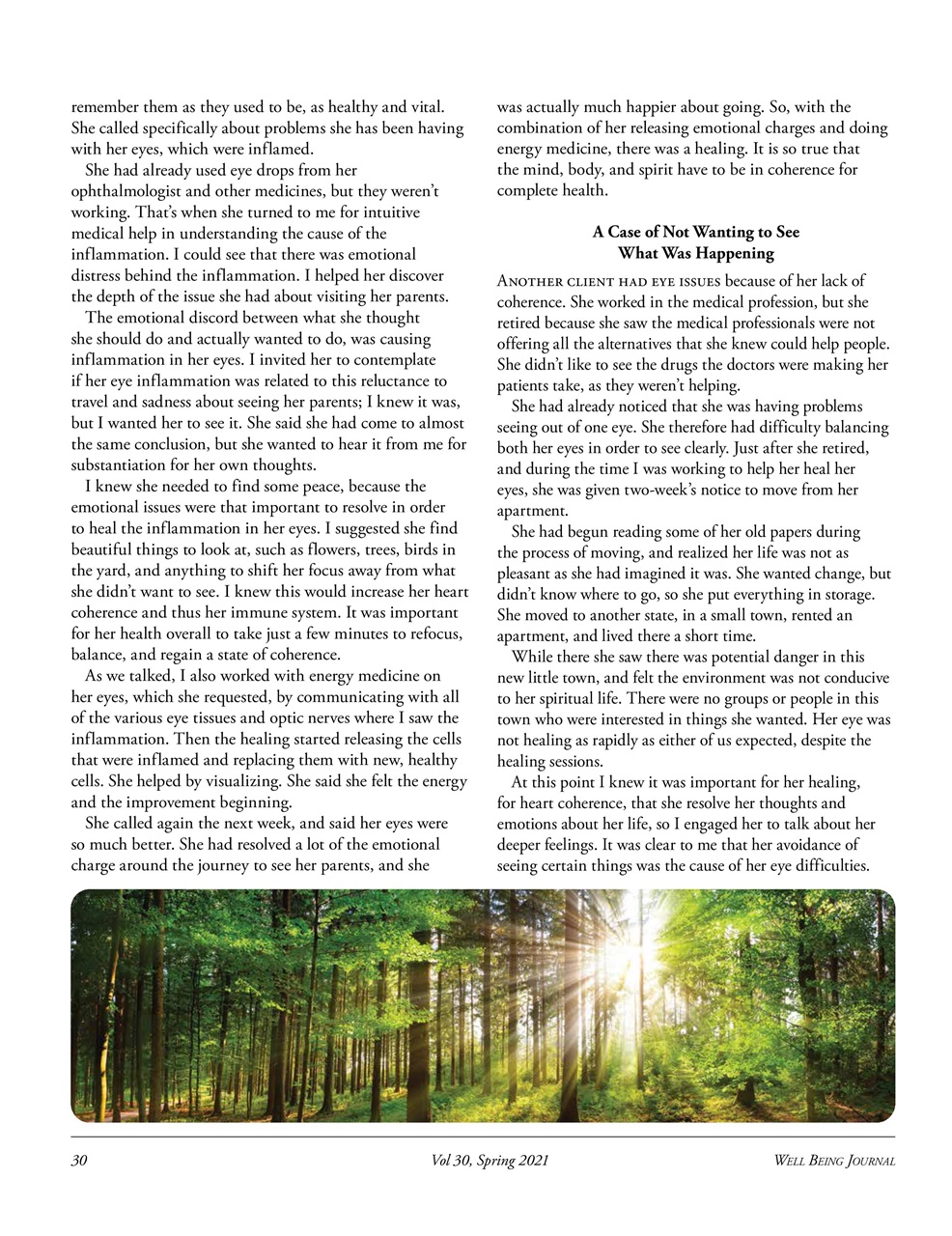 Well Being Journal Preview Pages