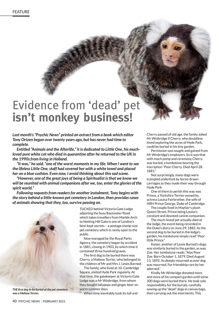 Psychic News Preview Pages