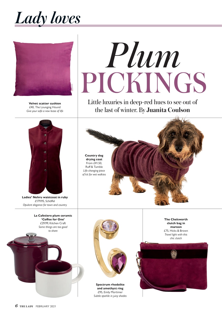 The Lady Preview Pages