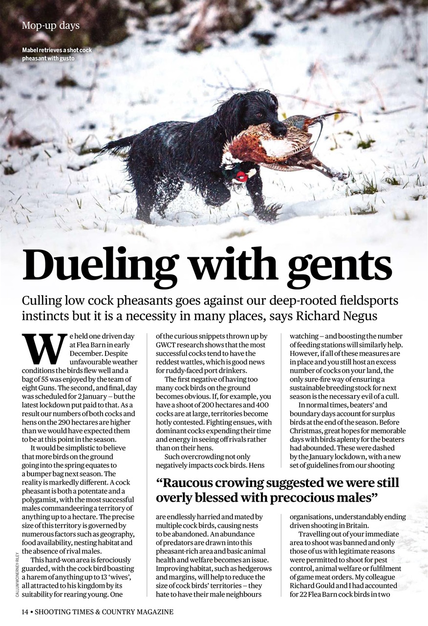 Shooting Times & Country Preview Pages