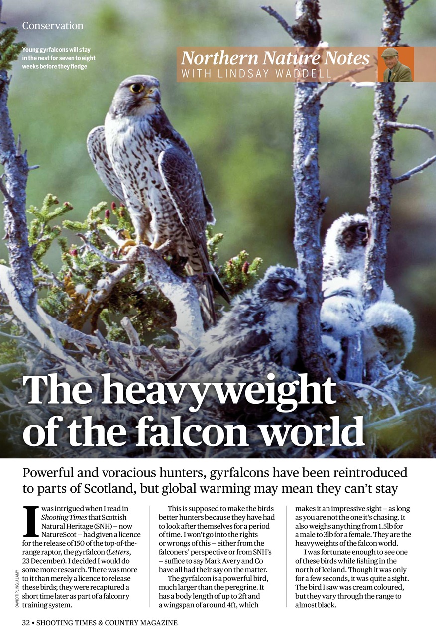 Shooting Times & Country Preview Pages