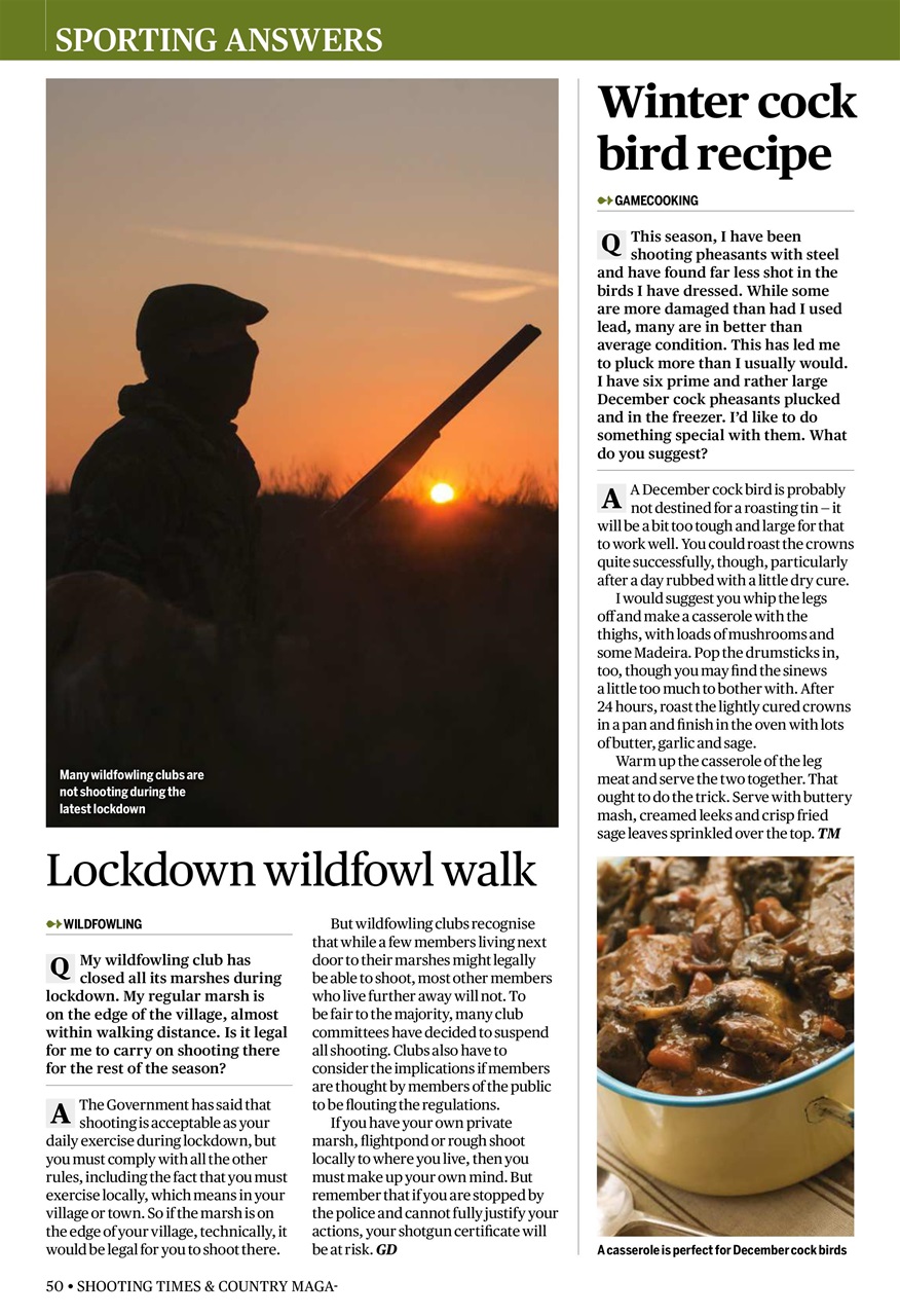 Shooting Times & Country Preview Pages