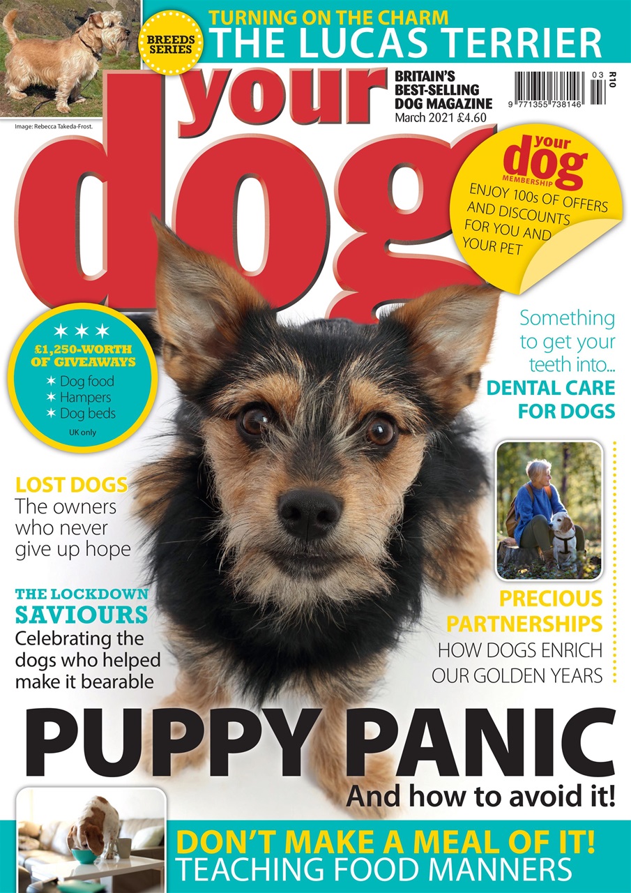 Your Dog Preview Pages