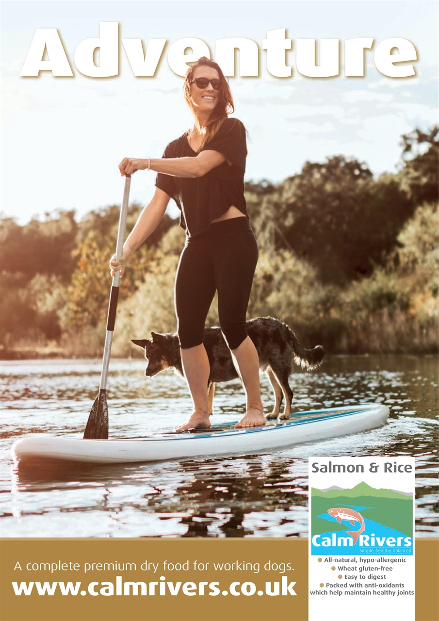 Your Dog Preview Pages