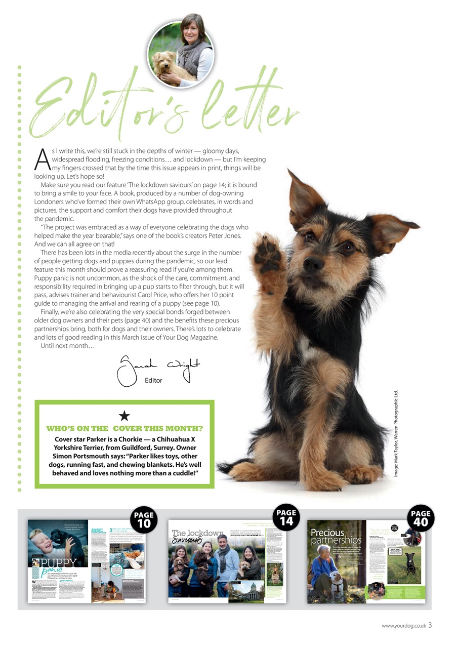 Your Dog Preview Pages