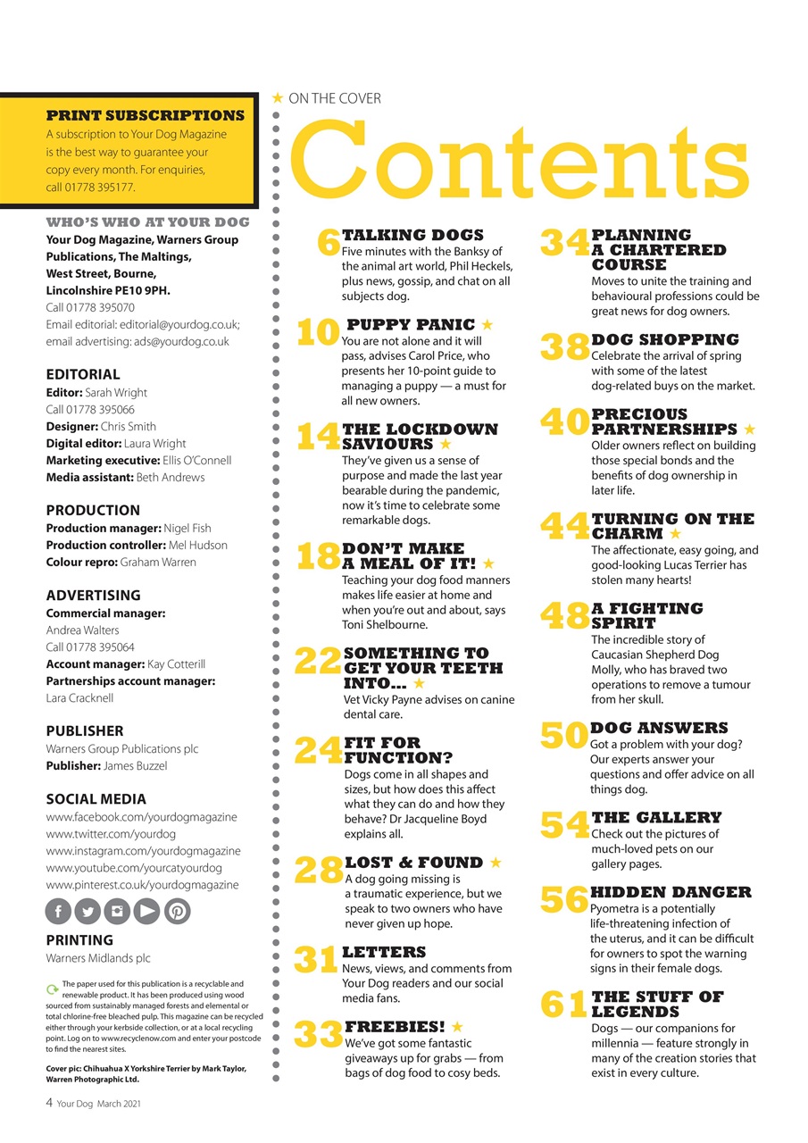 Your Dog Preview Pages