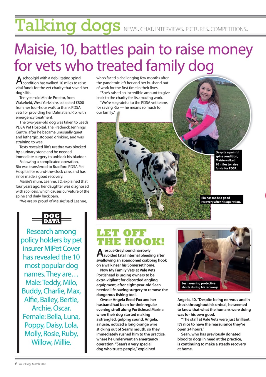 Your Dog Preview Pages