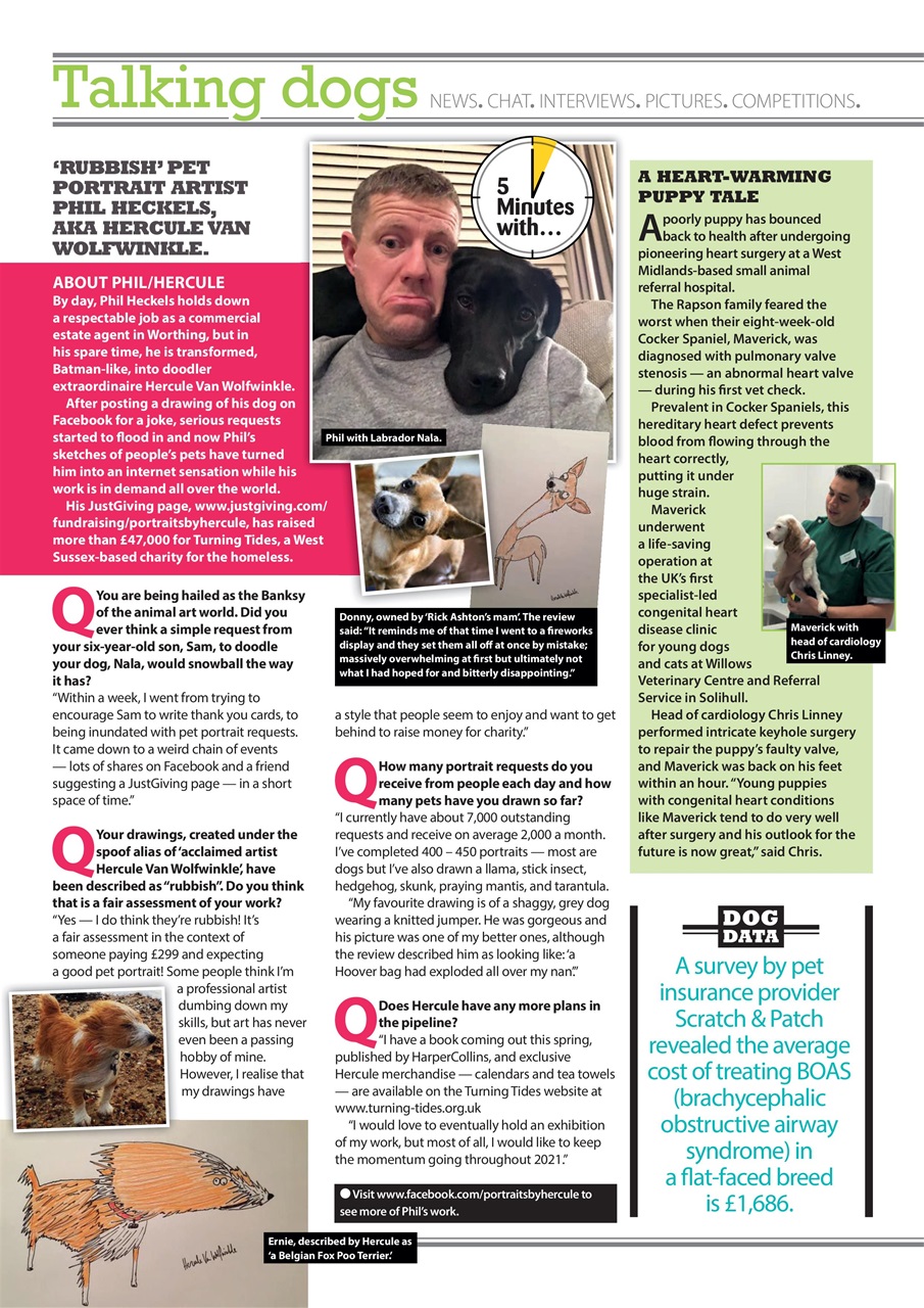 Your Dog Preview Pages