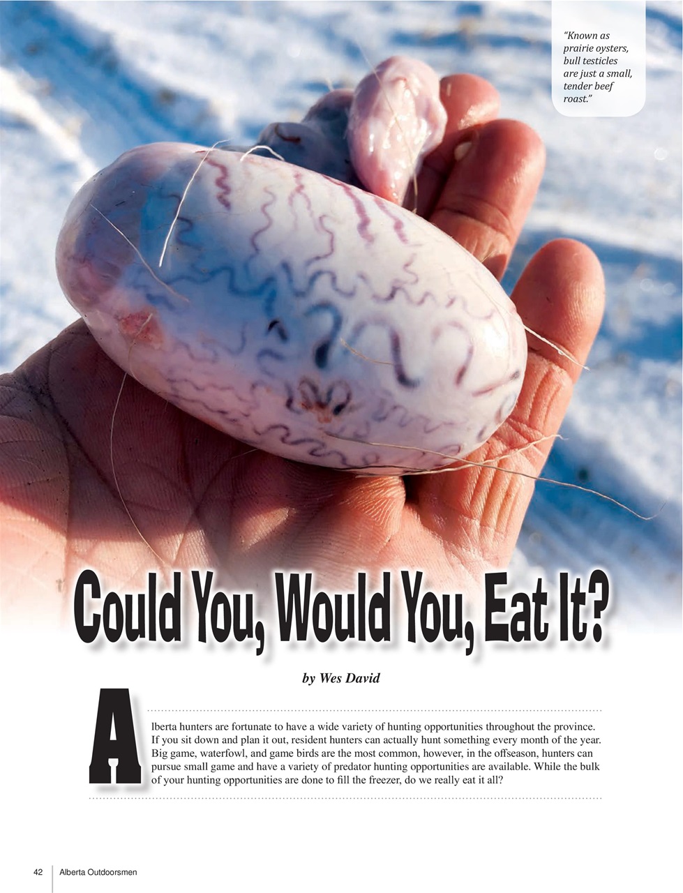 Alberta Outdoors Preview Pages