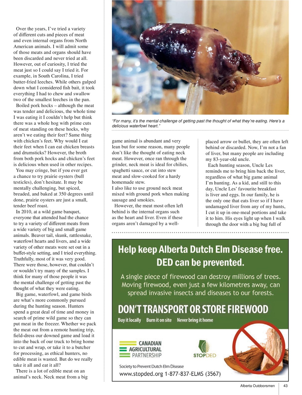 Alberta Outdoors Preview Pages
