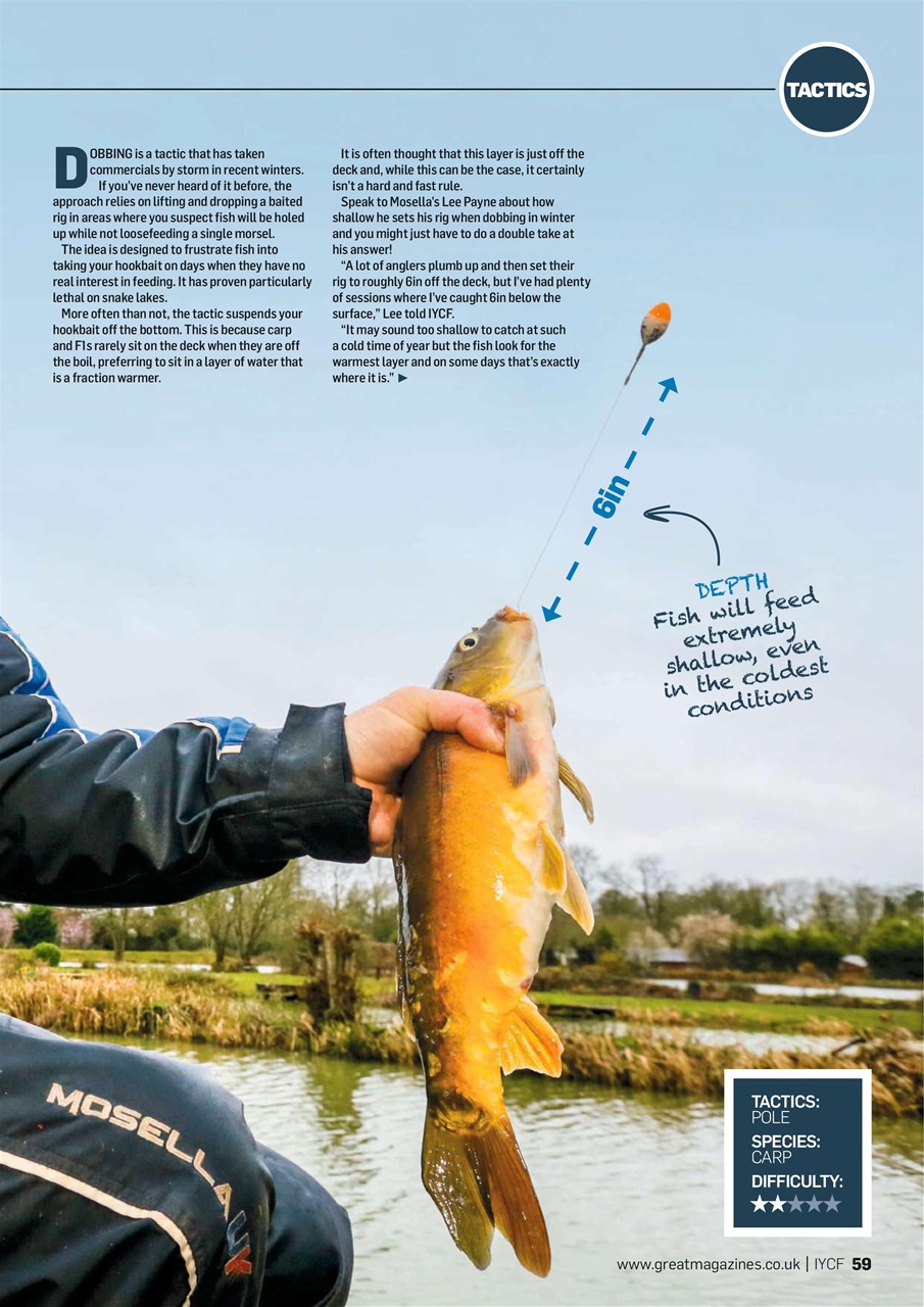 Improve Your Coarse Fishing Preview Pages