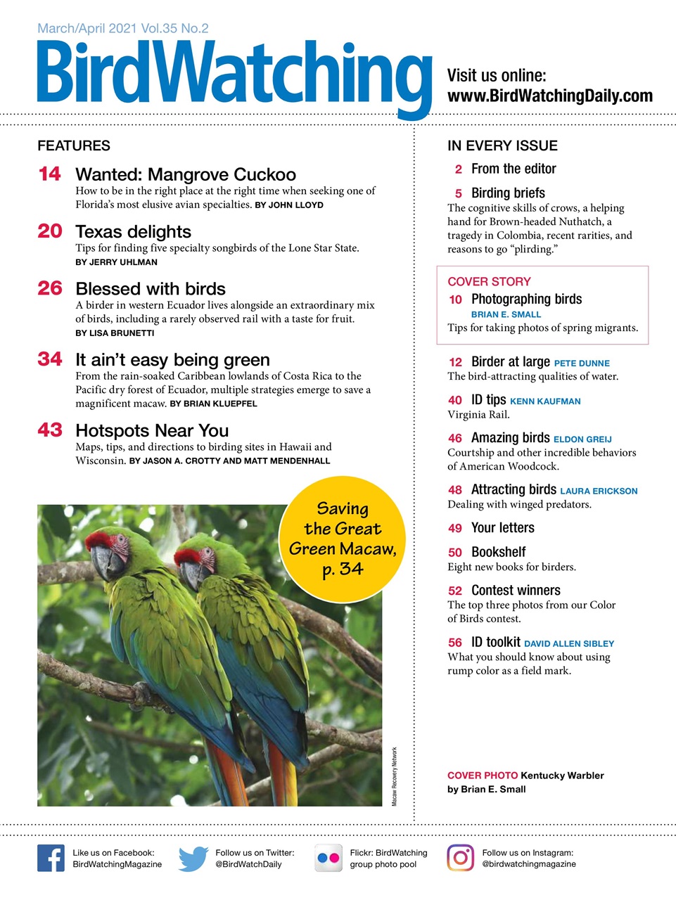 BirdWatching Preview Pages
