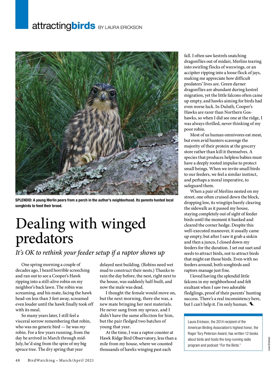 BirdWatching Preview Pages