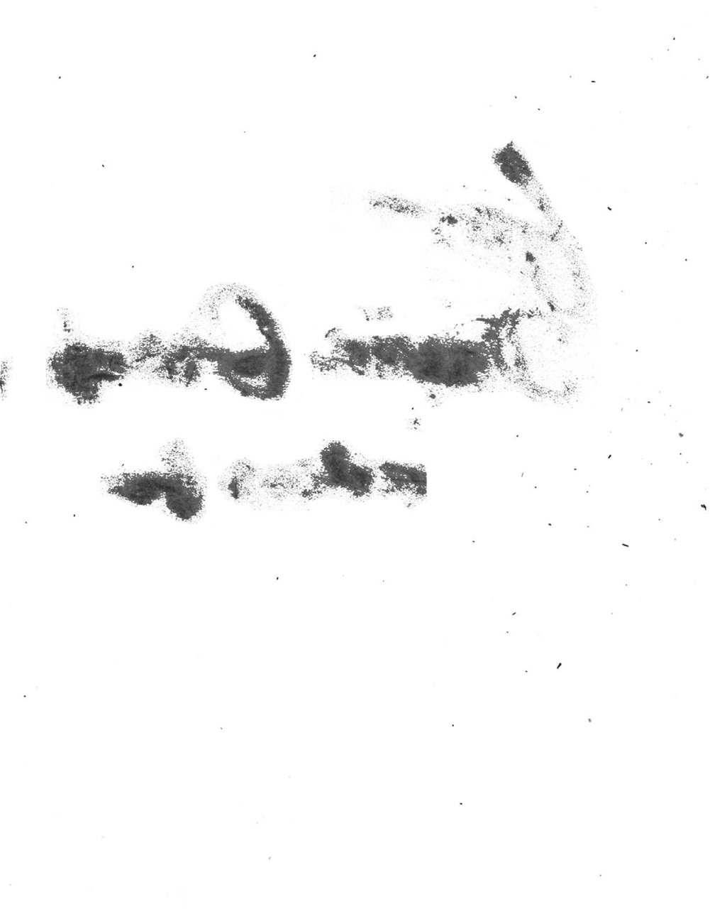 Adbusters Preview Pages