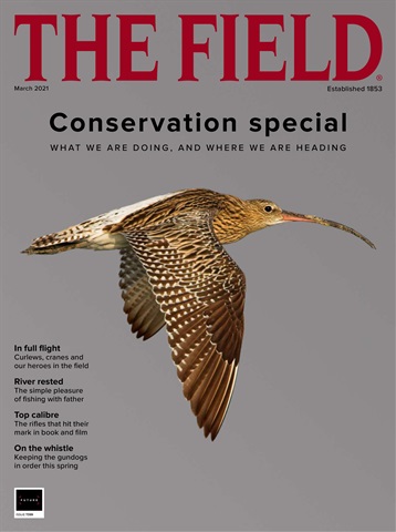 The Field issue Mar-2021