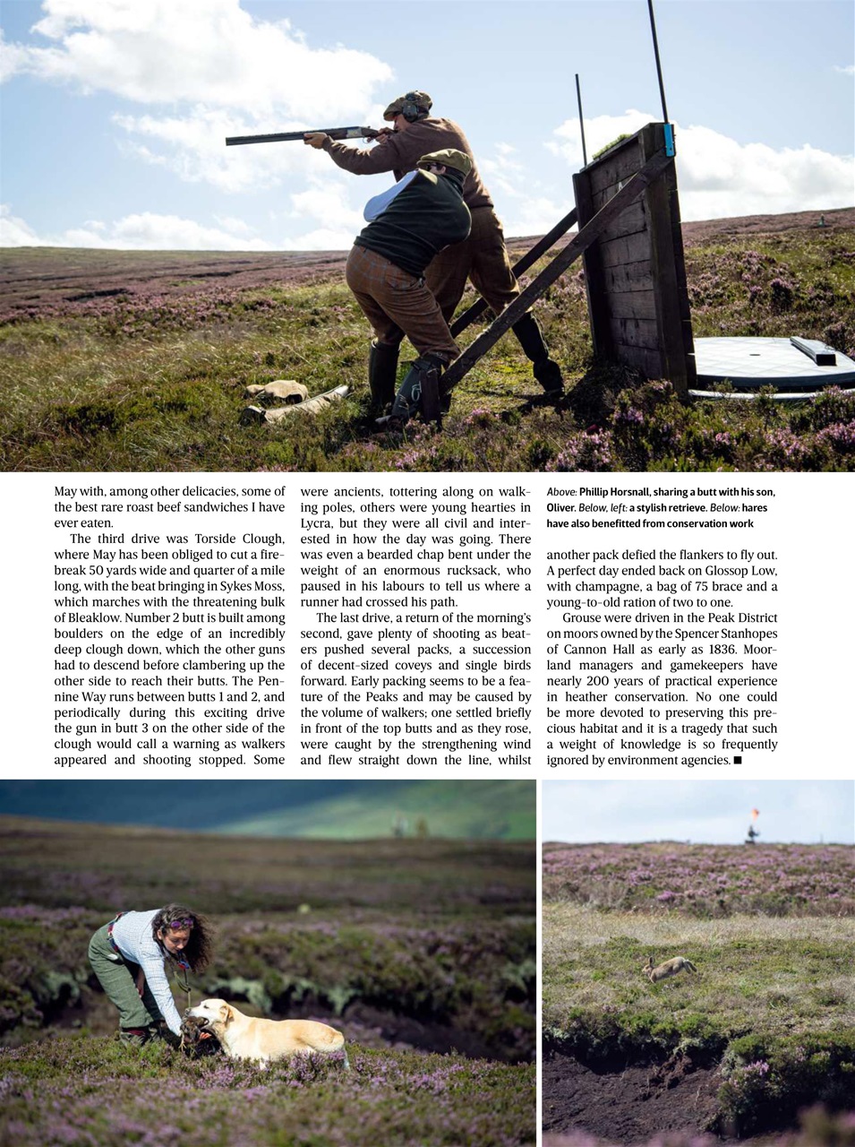 The Field Preview Pages