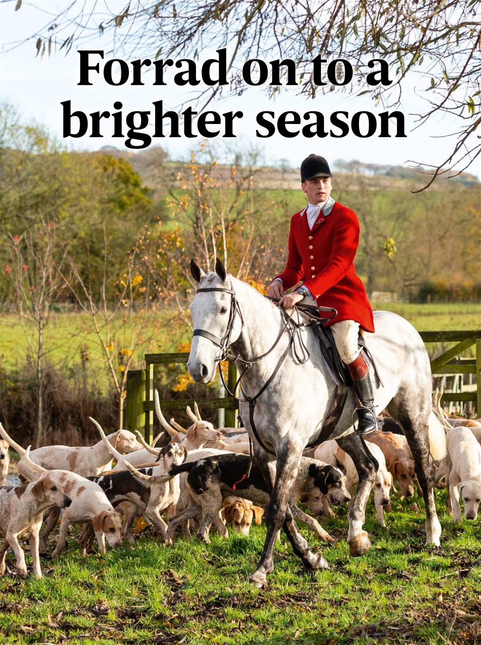 The Field Preview Pages