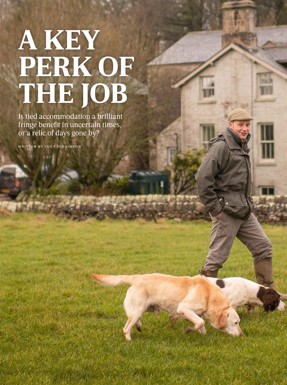 The Field Preview Pages